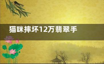 猫咪摔坏12万翡翠手镯被连夜送走 凭一己之力换了个新家